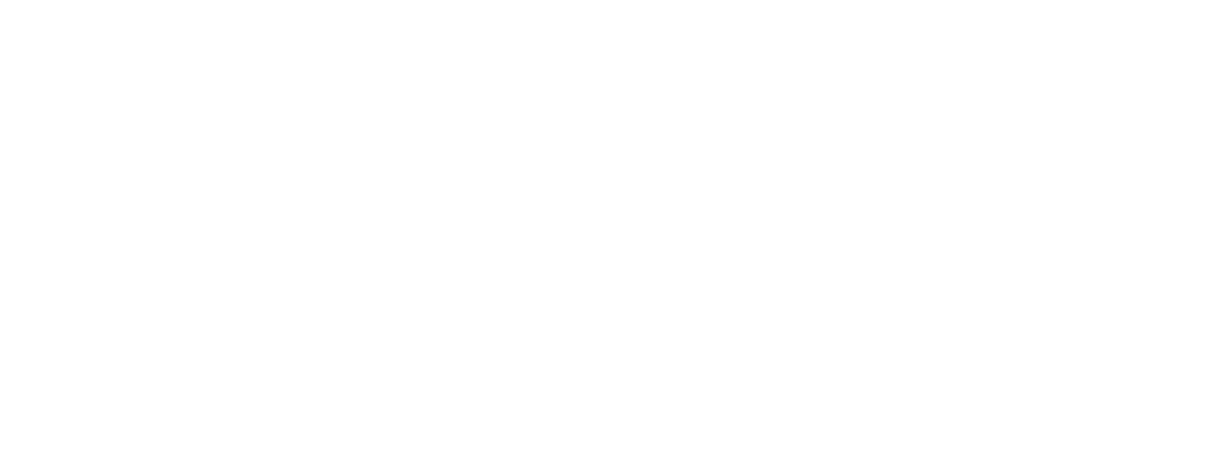 The 4 Elements: Friendship, Community, Creativity & Elibrion - Core values of The Coral Vines manifesto The 4 Elements symbol showing four circular icons representing Friendship, Community, Creativity and Elibrion arranged in a horizontal line.